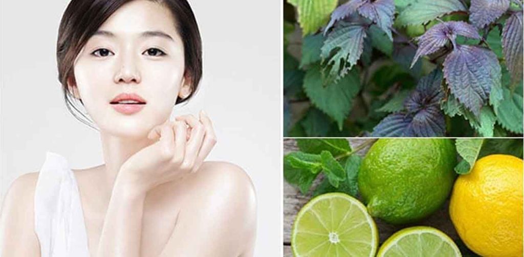 TRị nám tán nhang bằng lá tia tô hiệu quả