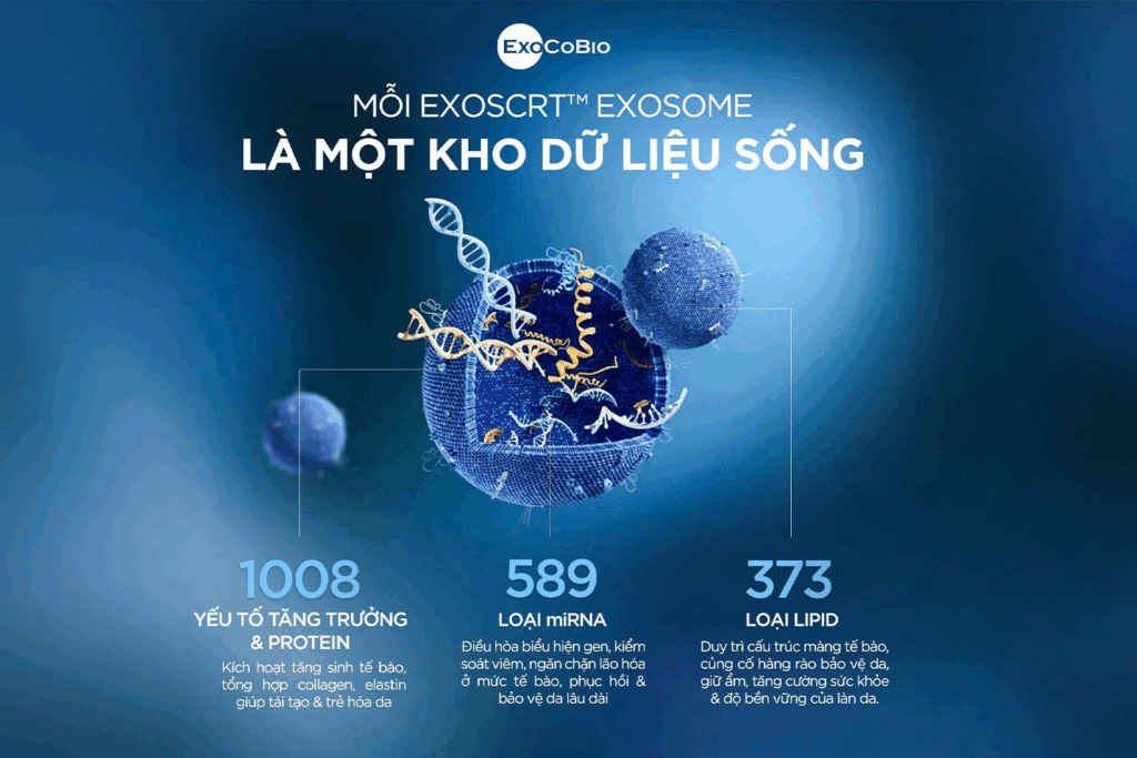 exosome-su-khac-biet-nam-o-do-tinh-khiet-ham-luong-va-cong-nghe-phia-sau3
