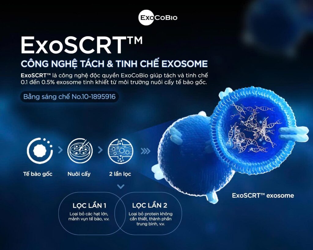 exosome-su-khac-biet-nam-o-do-tinh-khiet-ham-luong-va-cong-nghe-phia-sau3
