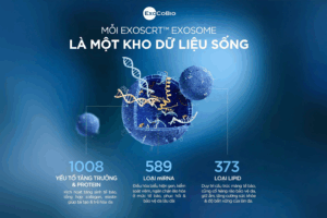 thiet-lap-cham-soc-da-voi-Exosome3