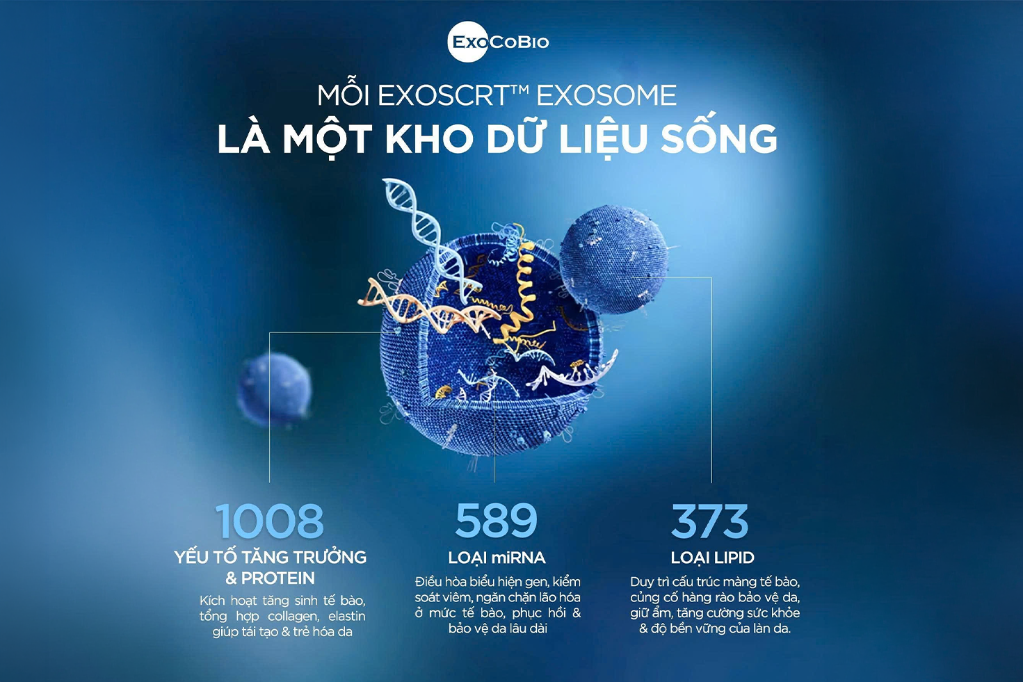 thiet-lap-cham-soc-da-voi-Exosome3